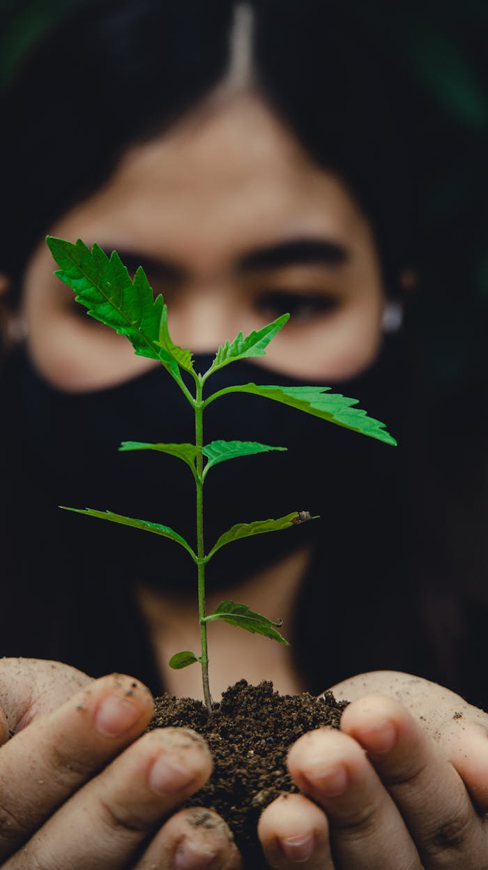 A woman wearing a mask holds a young seedling, symbolizing growth and environmental care.